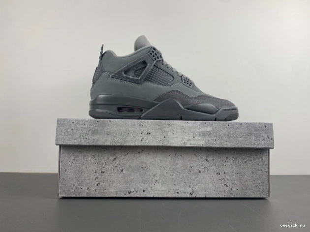 Chep Onekick Jordan 4 Olympics SE Air Paris 0704